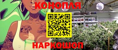 гашик Гагарин