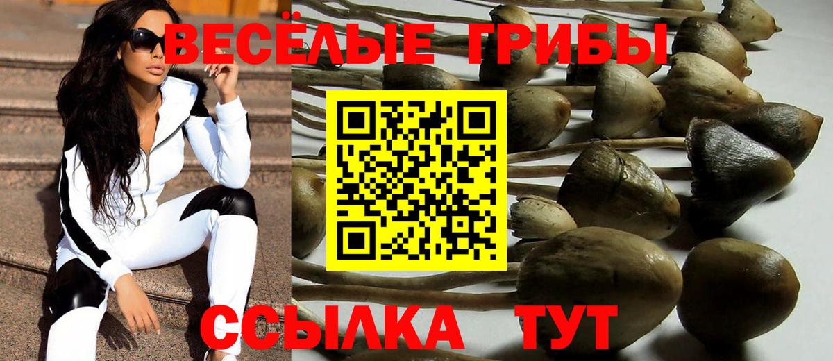 Псилоцибиновые грибы Magic Shrooms  Вход с VPN  купить закладку  Борзя  Псилоцибиновые грибы GOLDEN TEACHER 
