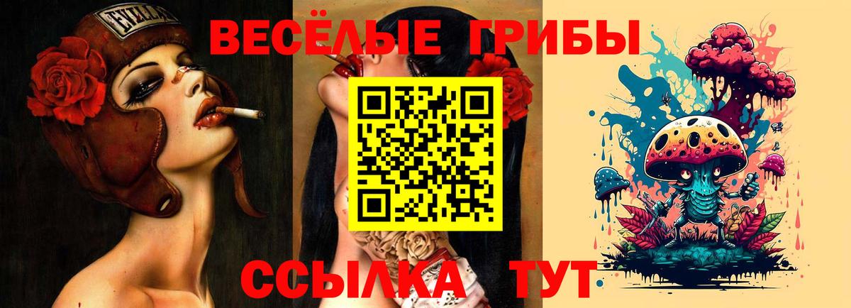 Галлюциногенные грибы Cubensis Борзя